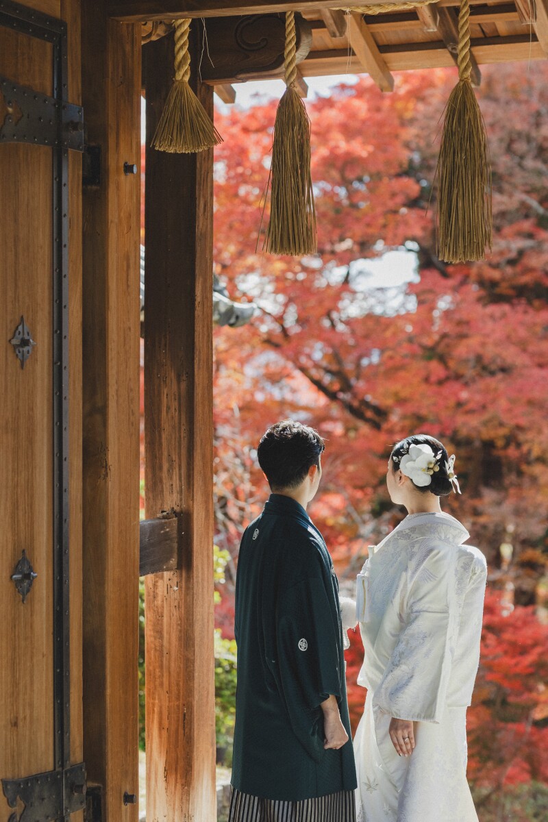 今年の紅葉photo