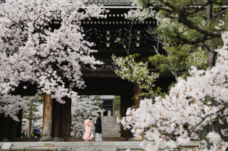 【桜の時期も対象】３月、4月桜キャンペーン30%OFF！！