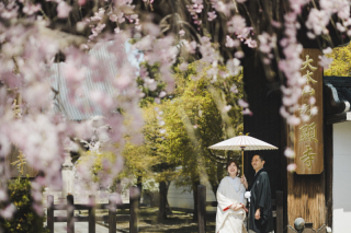 桜シーズンにご紹介したいお寺！