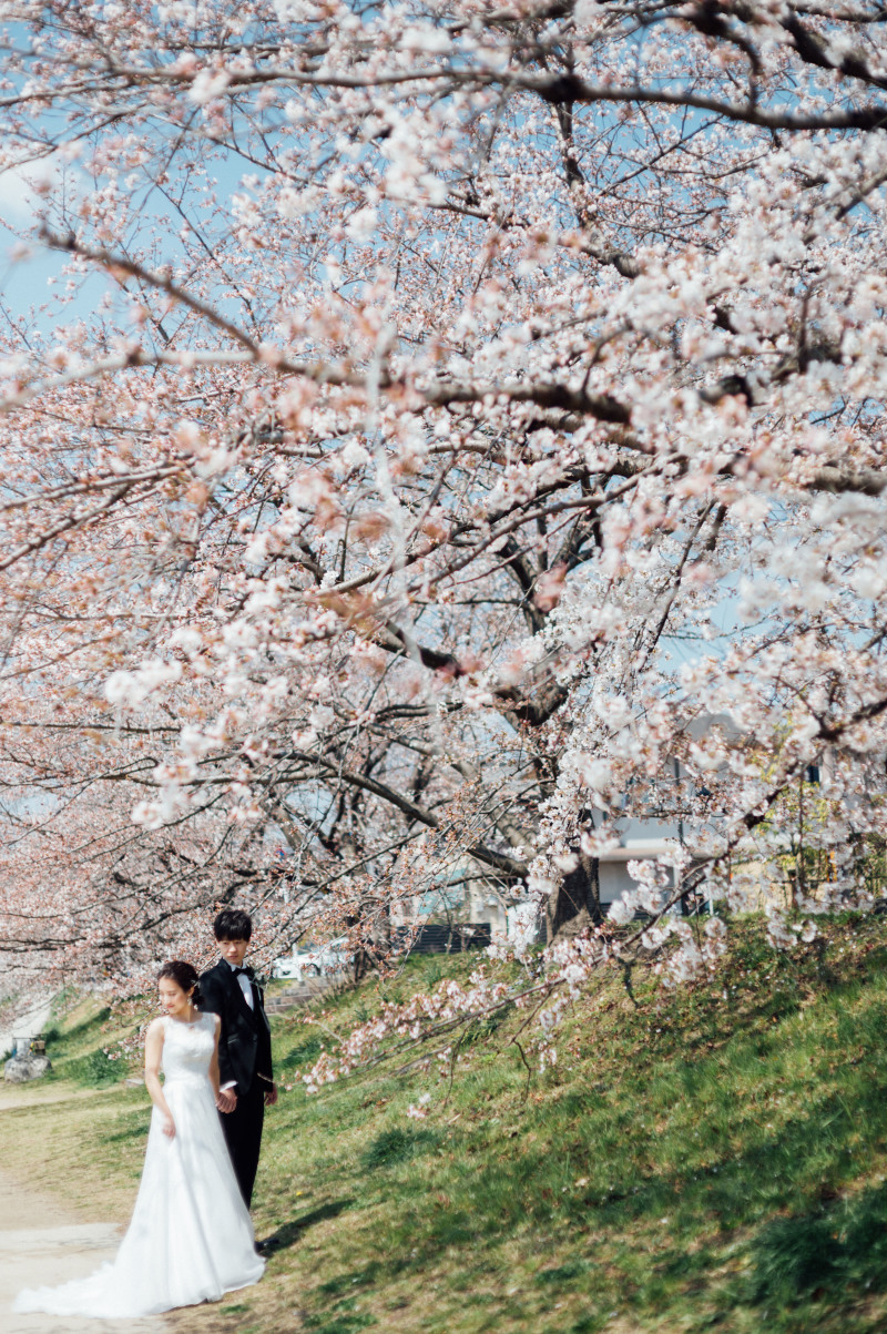 ◇桜シーズン予約スタート◇