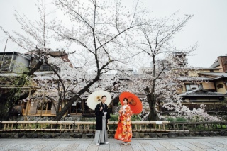 白川沿いの桜並木と石畳【祇園新橋】