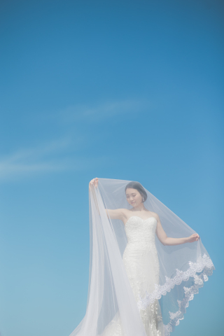 ロングベールショット