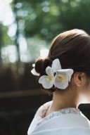 和装ヘッドパーツ 胡蝶蘭について