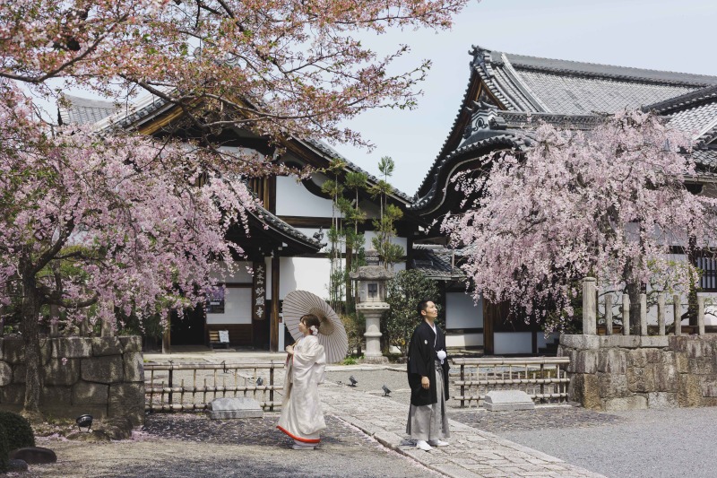 桜シーズンにご紹介したいお寺!