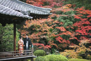 紅葉シーズンフォトご予約スタートしております！