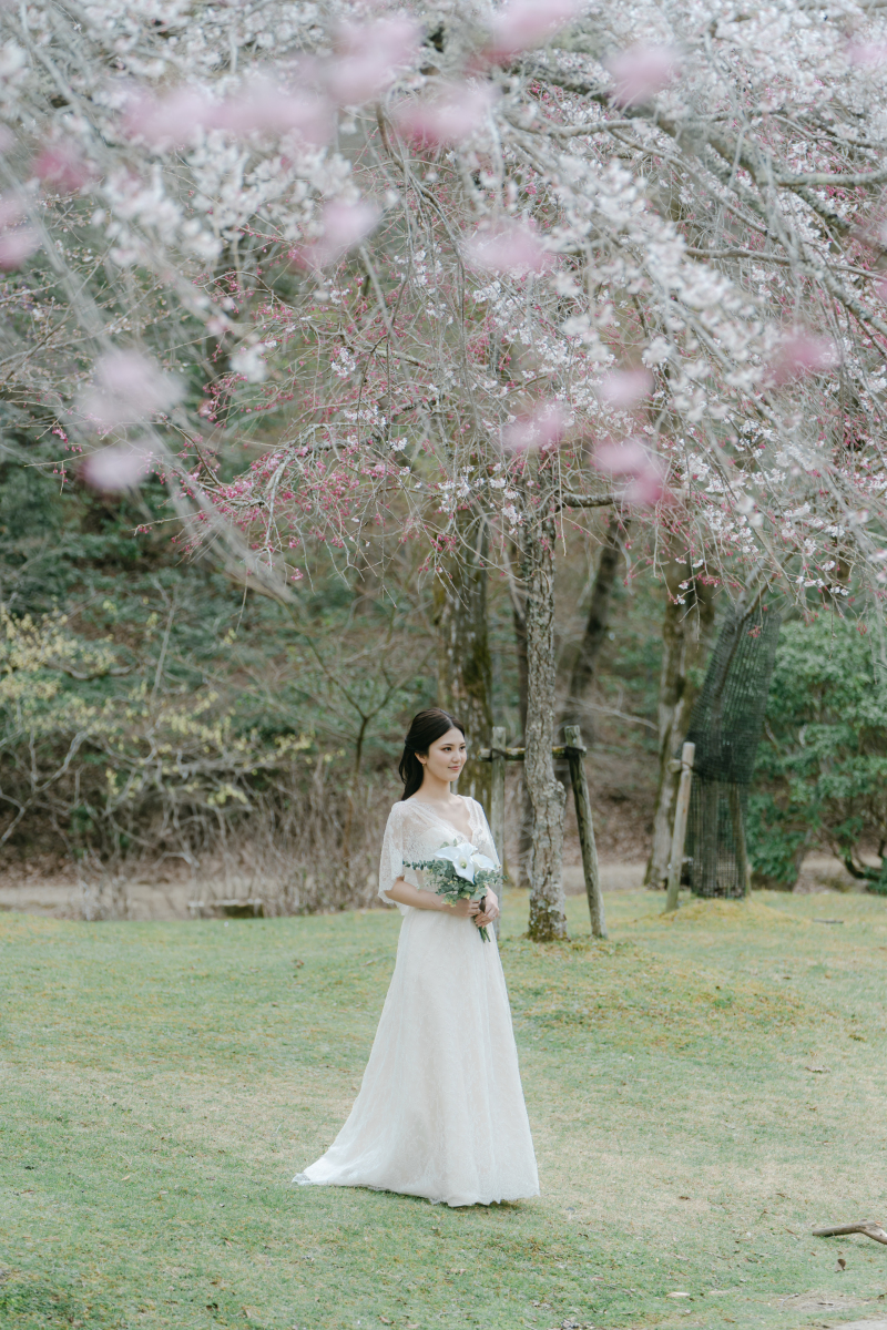 桜シーズンのご予約を承っております！