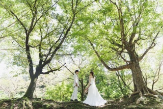 緑を取り入れた撮影