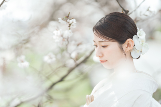 和装ヘッド　【春編】