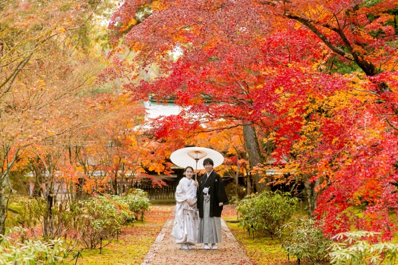 今年の紅葉photo