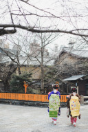 2月の和装ロケーション【祇園】