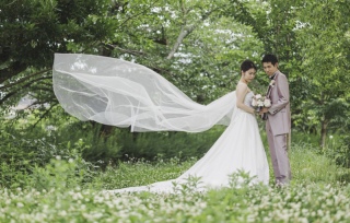 ロングベールショット