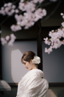 桜シーズンのご予約状況