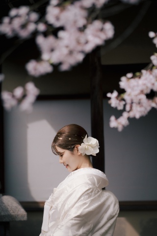 桜シーズンのご予約状況