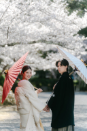 桜シーズンのご予約を承っております!