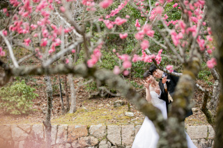 3月の空き状況について