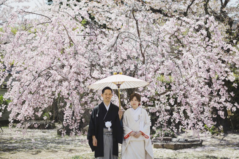 桜シーズンにご紹介したいお寺!