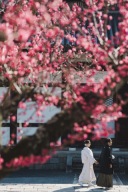 2月撮影のご予約状況について