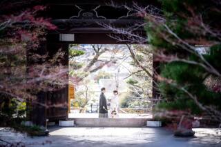 2024年2月3日 金戒光明寺での撮影