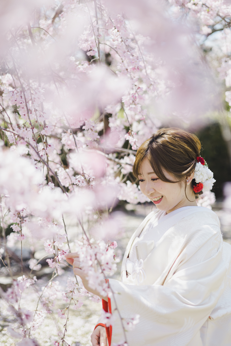 桜シーズンにご紹介したいお寺!