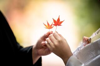 紅葉シーズン、残りわずかです!!