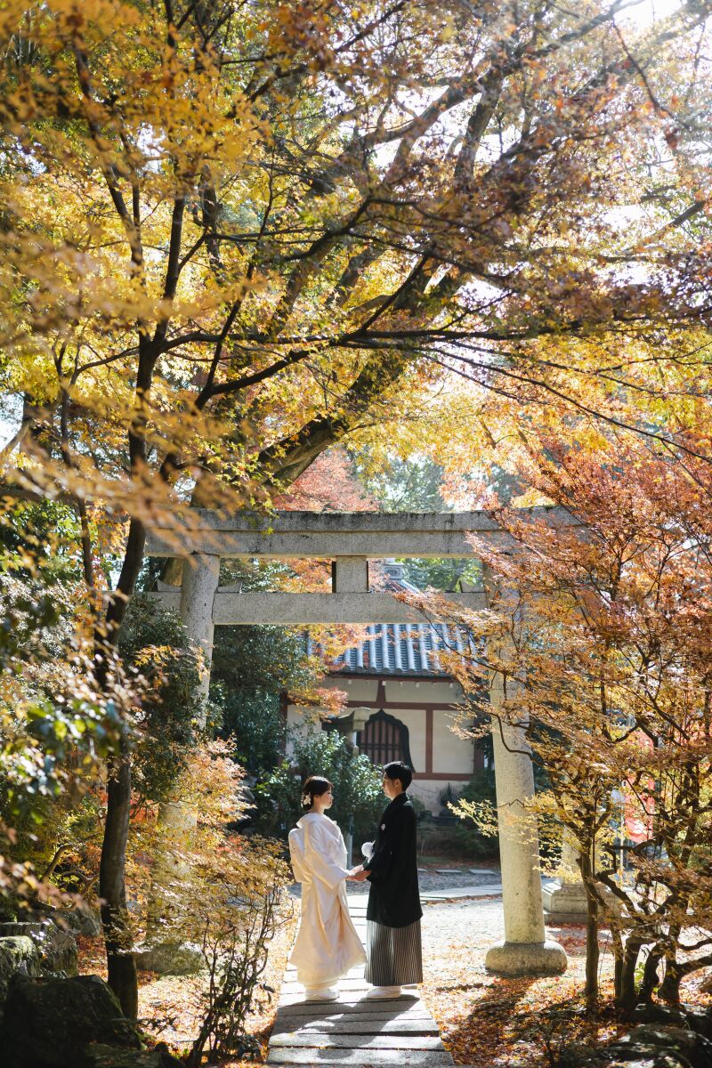 【紅葉】ロケーション別のお写真ご紹介♪