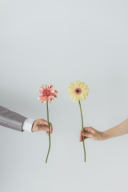 一輪花でお洒落に撮影