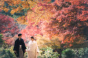 **秋の訪れと紅葉:美しさを捉える撮影追加枠決定!**