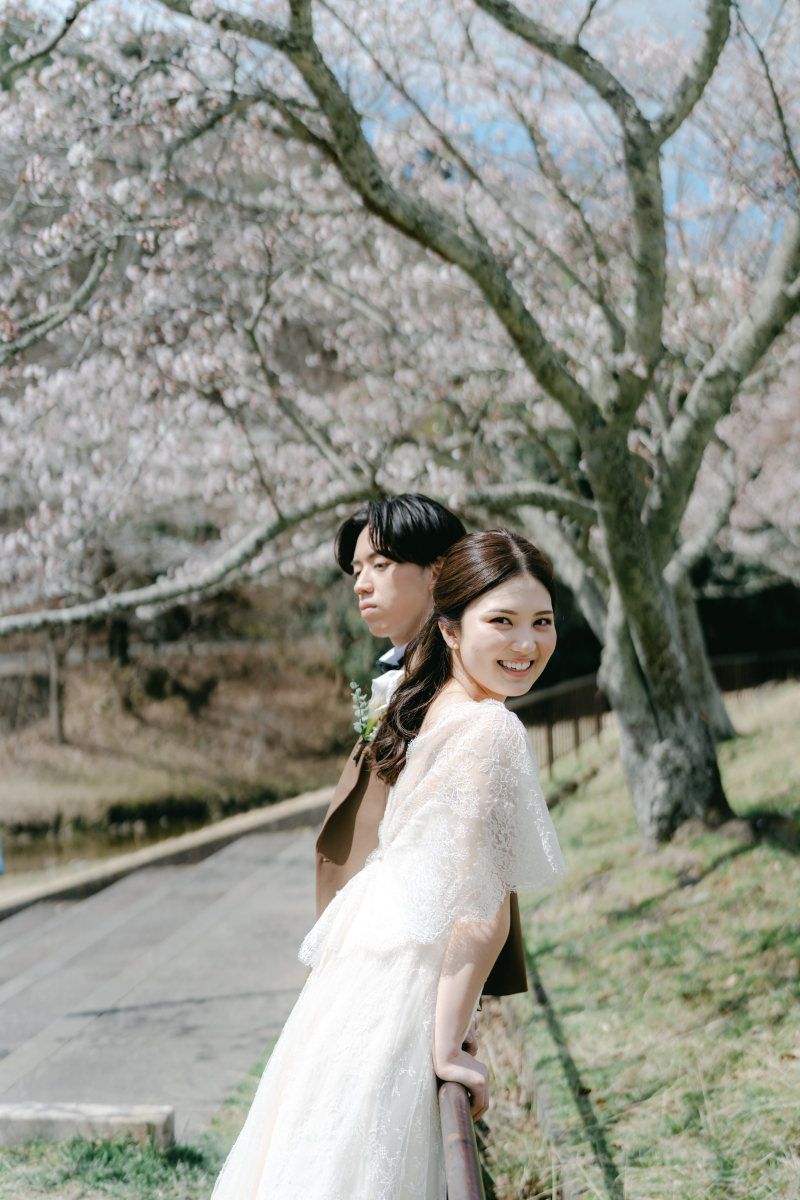 桜シーズンのご予約を承っております！