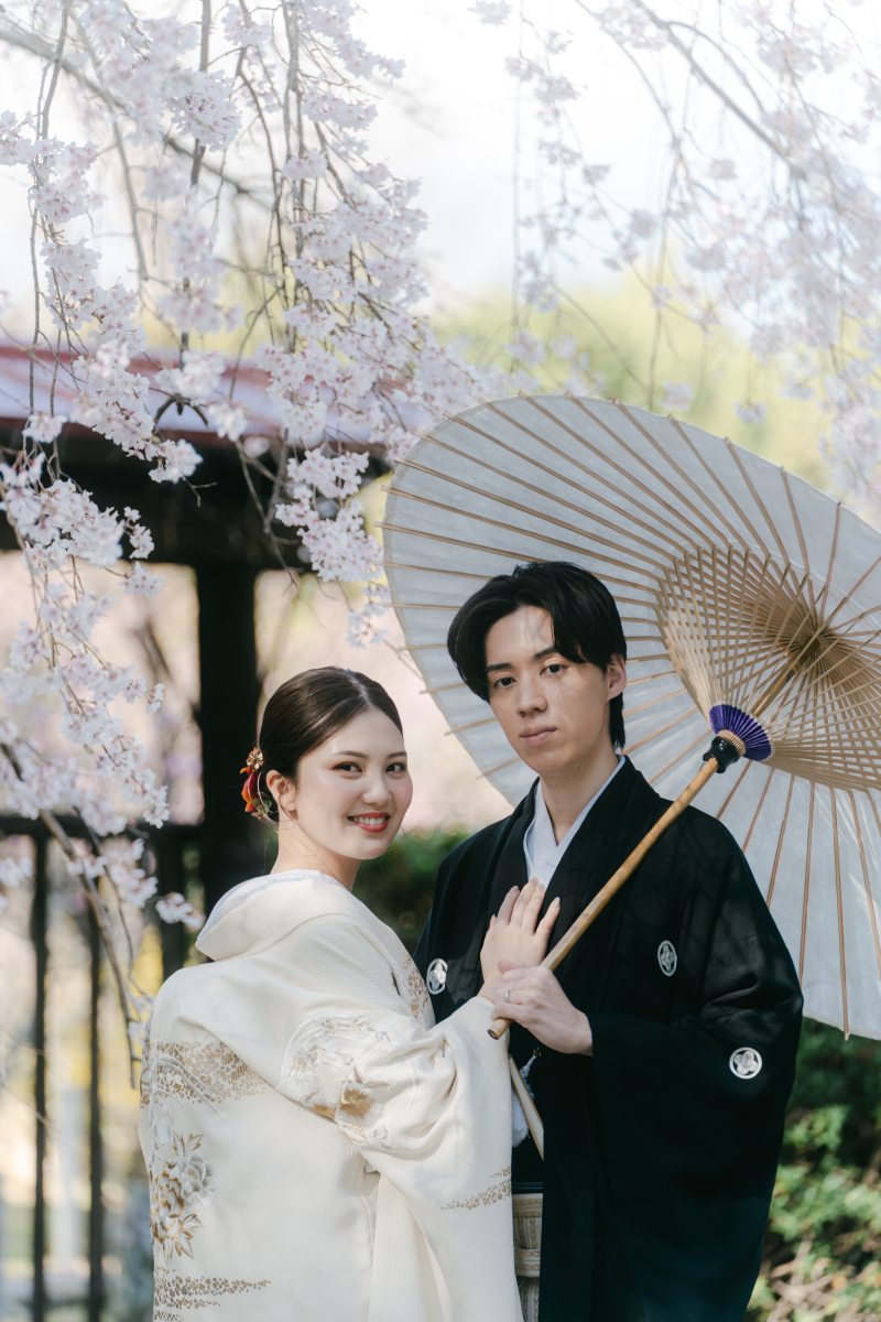 桜シーズンのご予約を承っております！