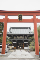 梅宮大社でのお写真