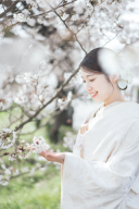 白無垢コーディネート【春編】