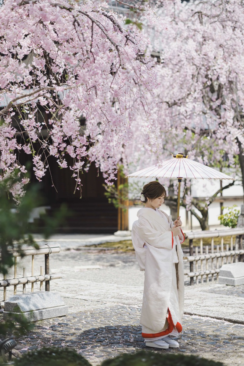 桜シーズンにご紹介したいお寺!