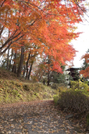 【紅葉が映える　秋シーズン到来】