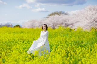 \お得な早割で★桜受付スタート/