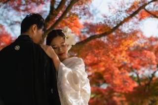 まだ間に合います!紅葉ロケーション撮影は11月がお得♪