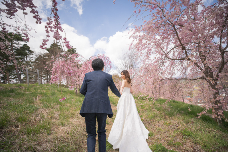 飯綱山公園の桜