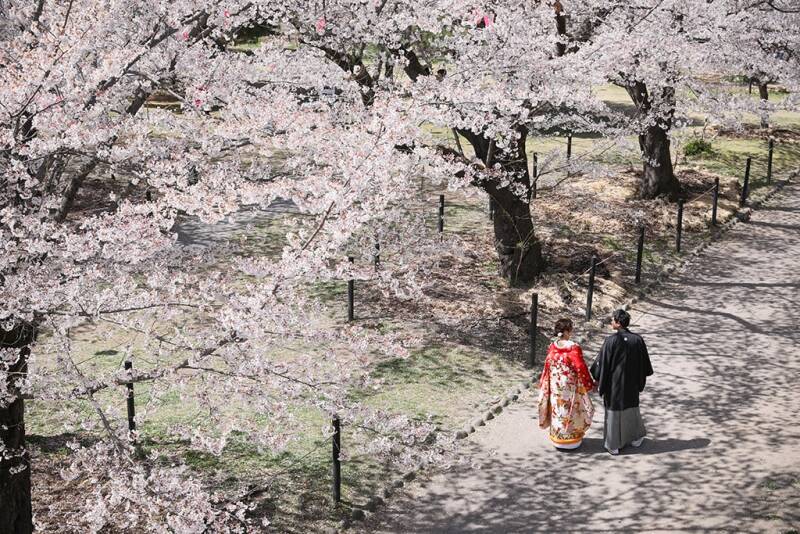 軽井沢桜シーズン予約受付中