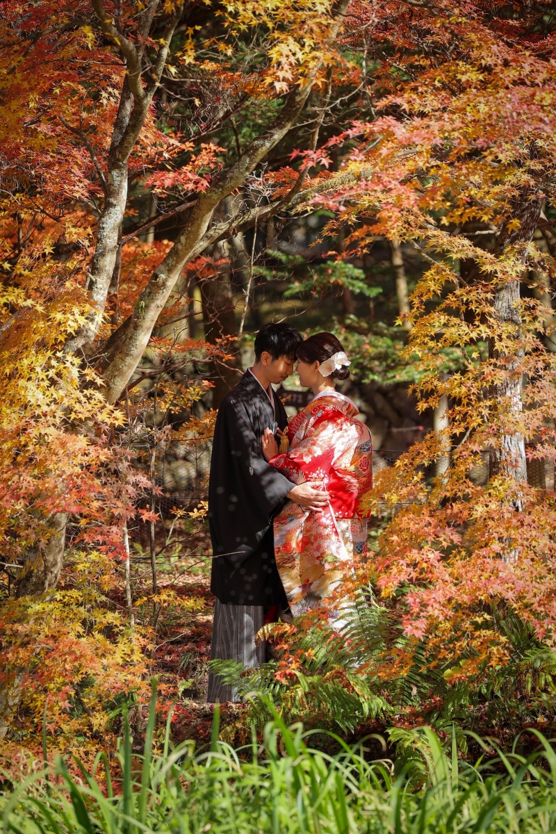 紅葉シーズン♪
