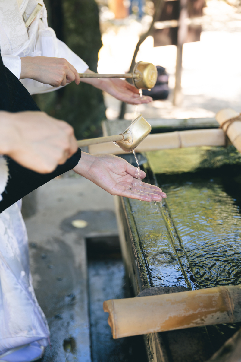 小諸懐古園　軽井沢ロケーションのご紹介！