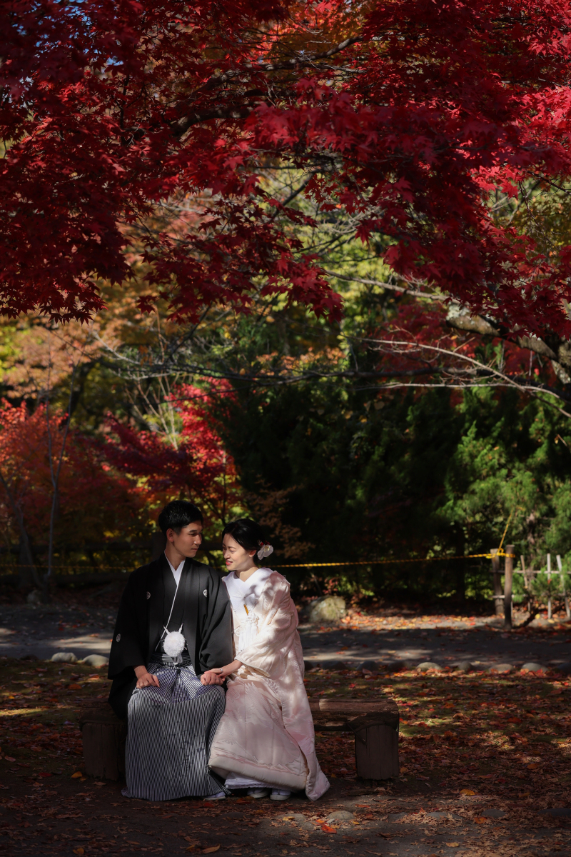 〜紅葉撮影予約受付中〜