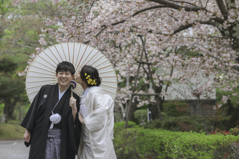 桜×緑