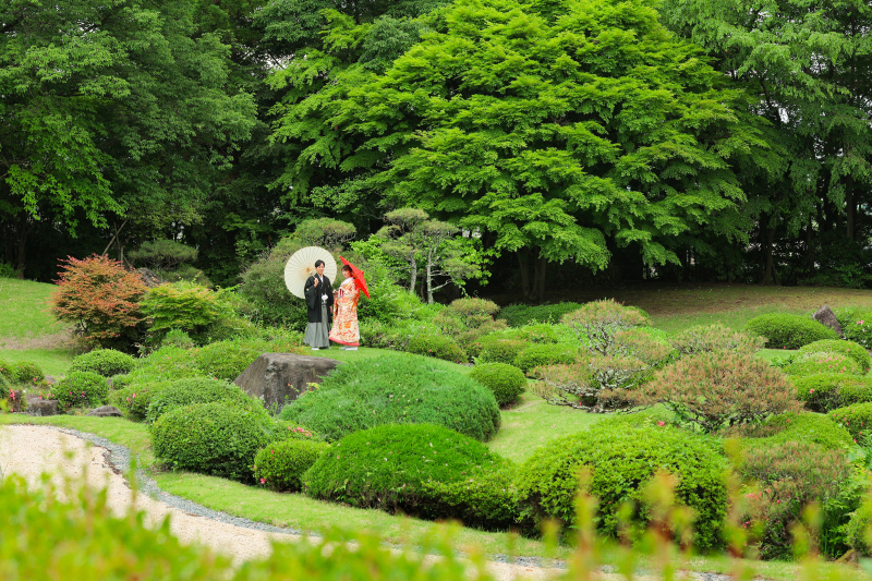 6月撮影 和装編