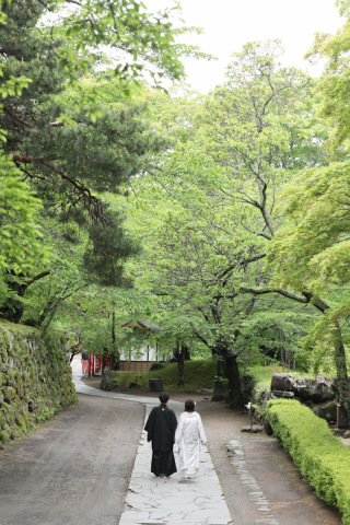 雨上がりの新緑和洋ロケーション