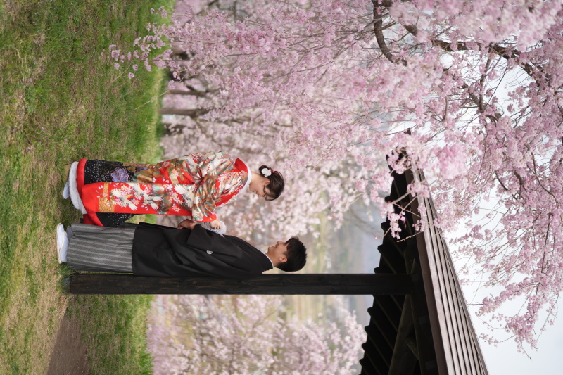 日本の春と和装の美しさ