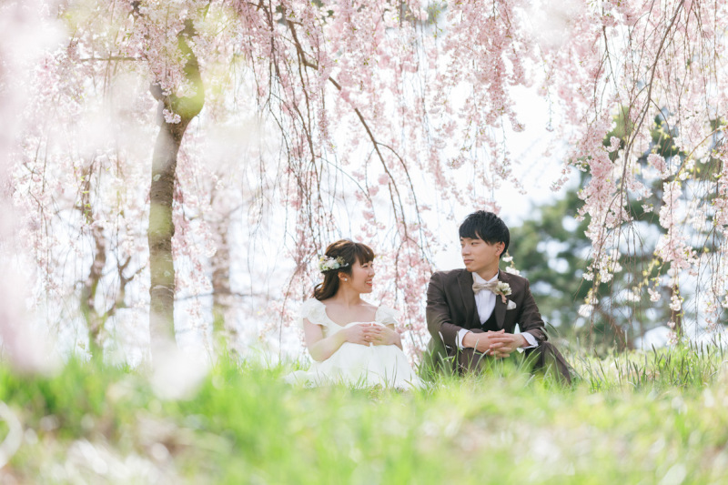 飯綱山公園が桜シーズンに選ばれる理由（今年の見頃予想）
