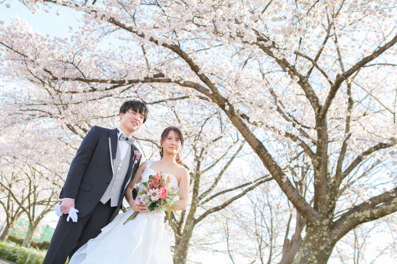 桜シーズンご予約受付中