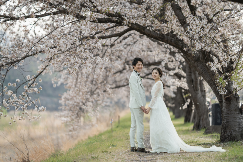 桜の見頃・スポット別紹介！