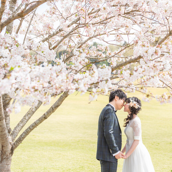 軽井沢桜シーズン♪