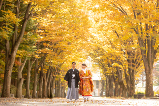 万酔園のいちょう並木　photo by 谷澤明美