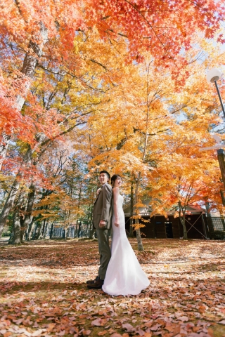 紅葉シーズン！